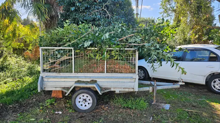 Green Waste Removal