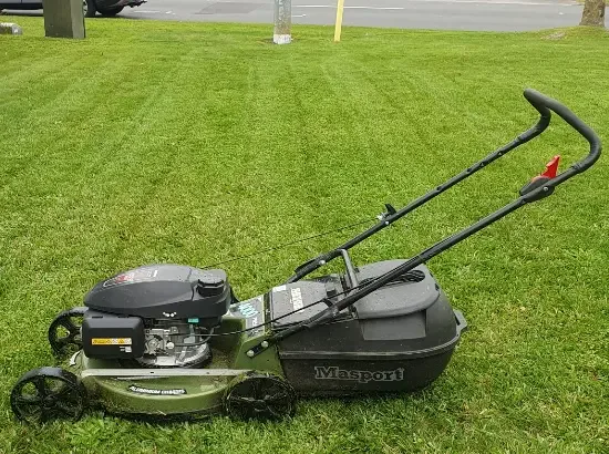 LawnMate Masport mower on a freshly cut lawn in Hamilton